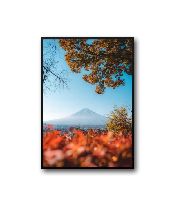 Tulip Frame - Image 3